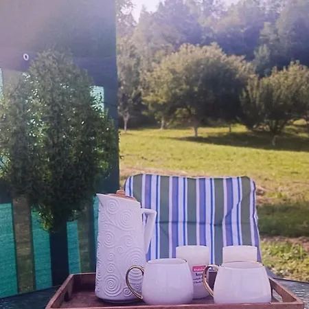 Garden *